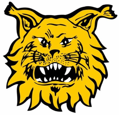 Ilves Veikkausliiga