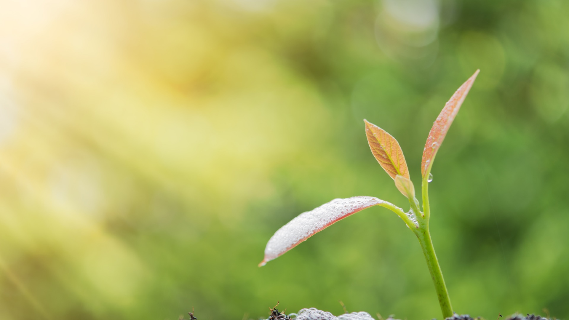 Mistä lainaa nopeasti