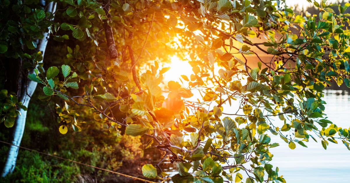 Joustoluotto vai kulutusluotto