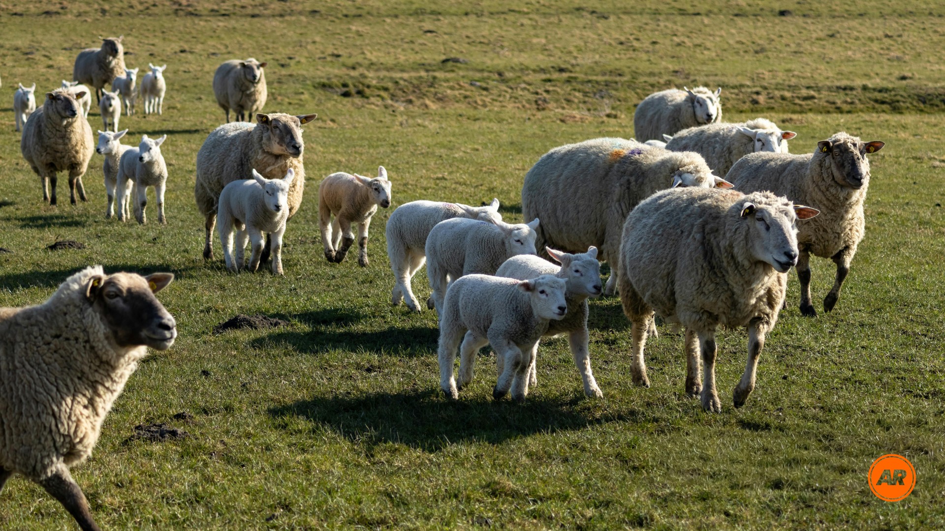 sijoittaminen riskit